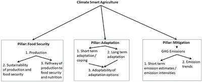 Improving Assessments of the Three Pillars of Climate Smart Agriculture: Current Achievements and Ideas for the Future